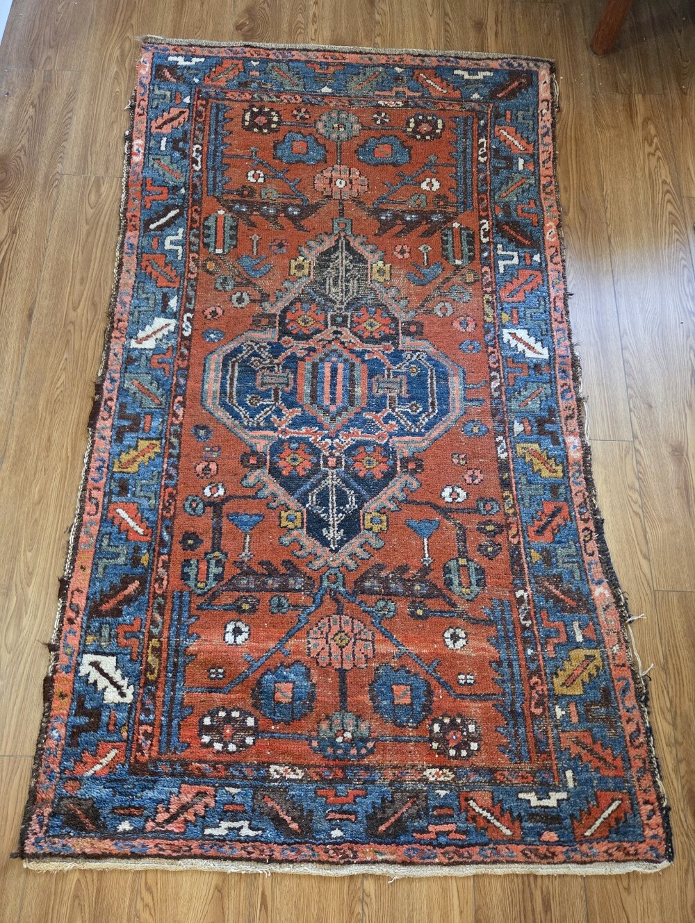 Antique Persian Hamadan Tribal Rug - Hand-Knotted Wool (3x6 Ft)".